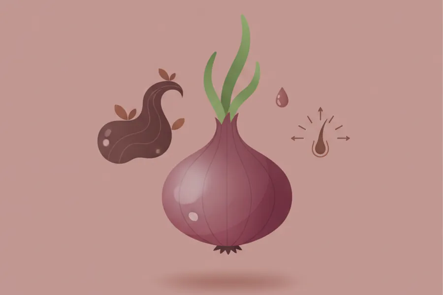 Illustration for Benefits of Onion for Hair and How It Can Help Hair Regrow